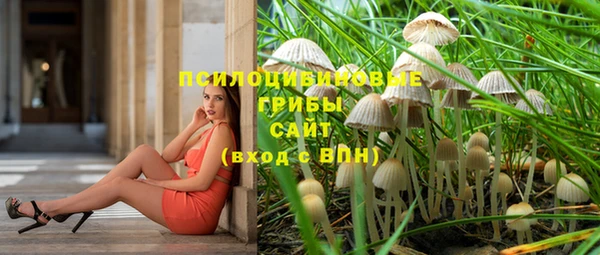 2c-b Козельск
